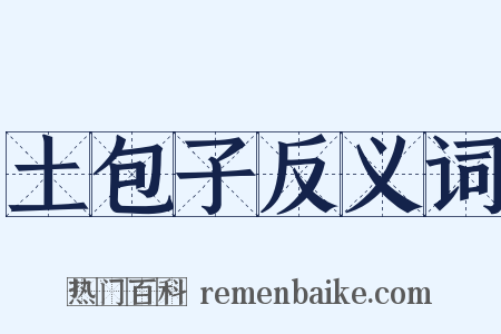 土包子反义词是什么意思的图片